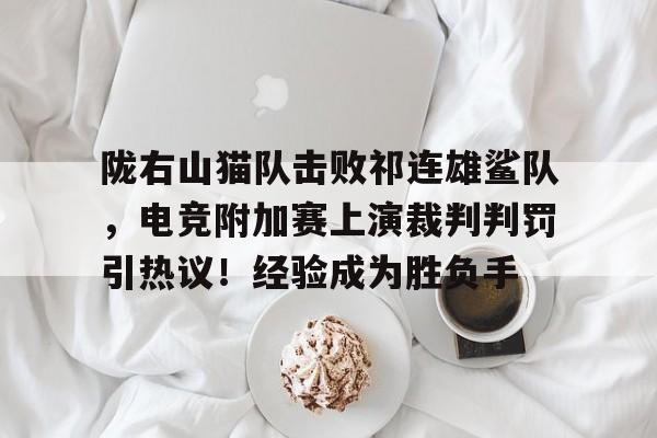 包含陇右山猫队击败祁连雄鲨队,电竞附加赛上演裁判判罚引热议!经验成为胜负手的词条九游会对战入口